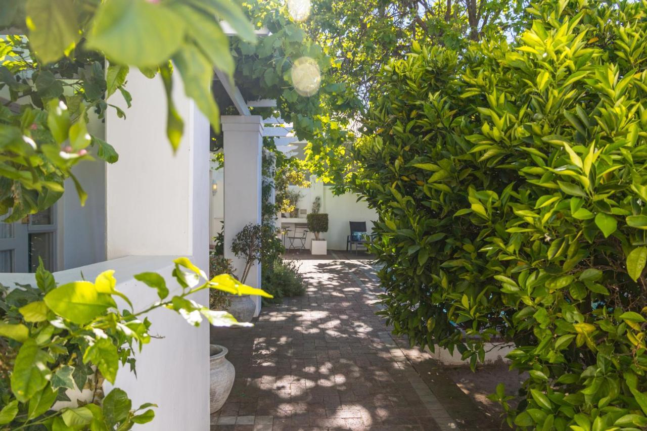 Ashbourne Boutique Guest House Franschhoek Kültér fotó